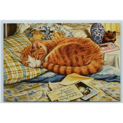 RED TABBY CAT sleep Letter Photo Porcelain LAMP by Tristram Russian NEW Postcard