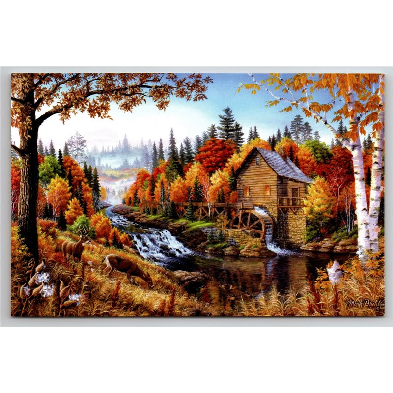 MILL Deer Stream in autumn Forest Landscape Animal by Daehlin New Postcard