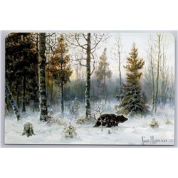 RUSSIAN BROWN BEAR in Winter Snow Forest Animal by Klever New Unposted Postcard