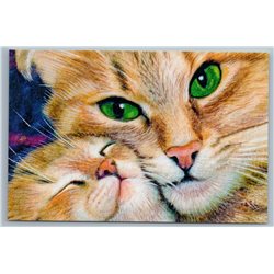 CAT Mom n KITTEN Green Eyes Gentle motherhood Russian New Postcard