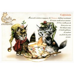 Cute CATS Kittens and Tea Cup by France Severine Pineaux Russian Modern Postcard