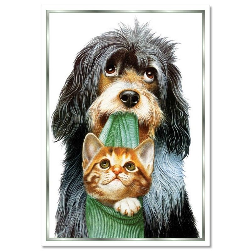 FUNNY Cat in toe and Dog Friends New Modern Russian postcard