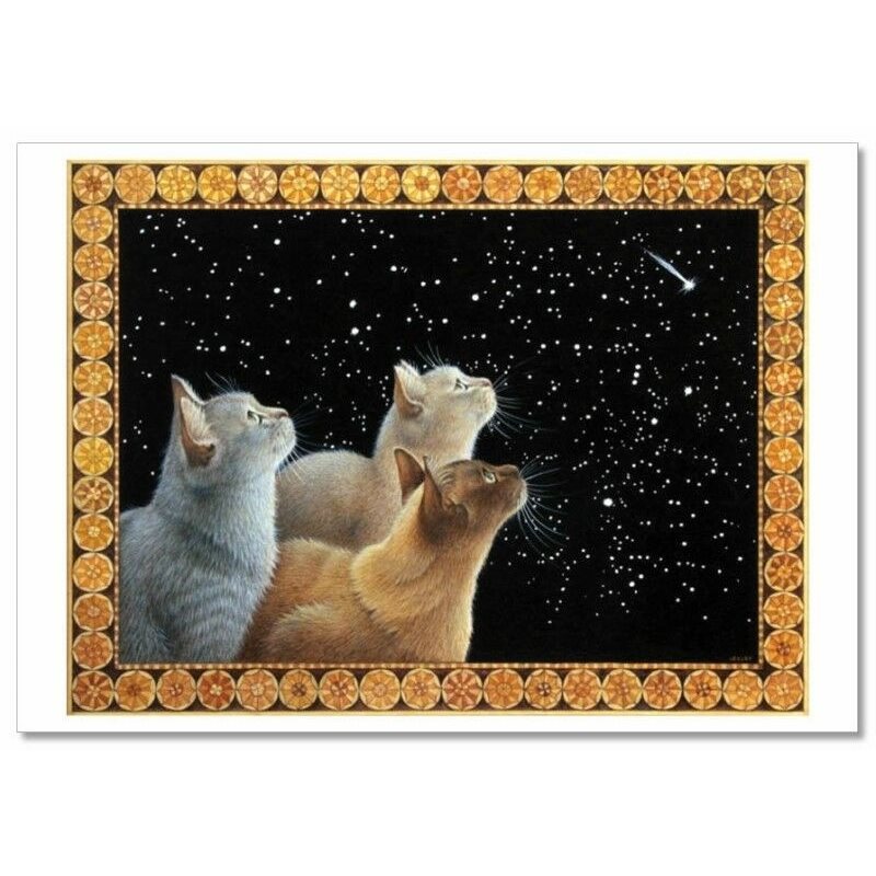 CATS look at the starry sky shooting star by Ivory NEW Russian Postcard