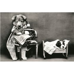 Dog sews clothes to a puppy SEW Machine FUNNY PETS Photo Russian Modern postcard
