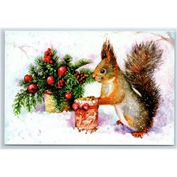 Squirrel and CHRISTMAS TREE branch Gift Box Winter Snow Russian Modern Postcard