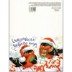 FUNNY Bullfinches on a rowan branch Birds Big Folding Russia Modern Postcard