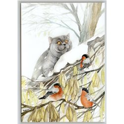 GREY CAT try to catch BULLFINCHES Snow Tree by Plovetskaya Russian New Postcard
