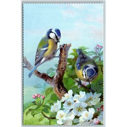 BLUE TITS BIRDS Illustration by J Keulemans New Texture Postcard