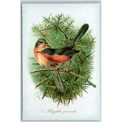 BIRD DARTFORD WARBLER Illustration by J Keulemans New Texture Postcard