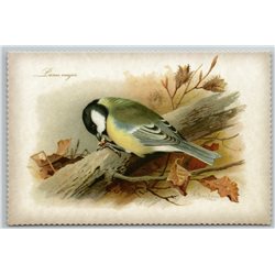 BIRD GREAT TIT Illustration by J Keulemans New Texture Postcard
