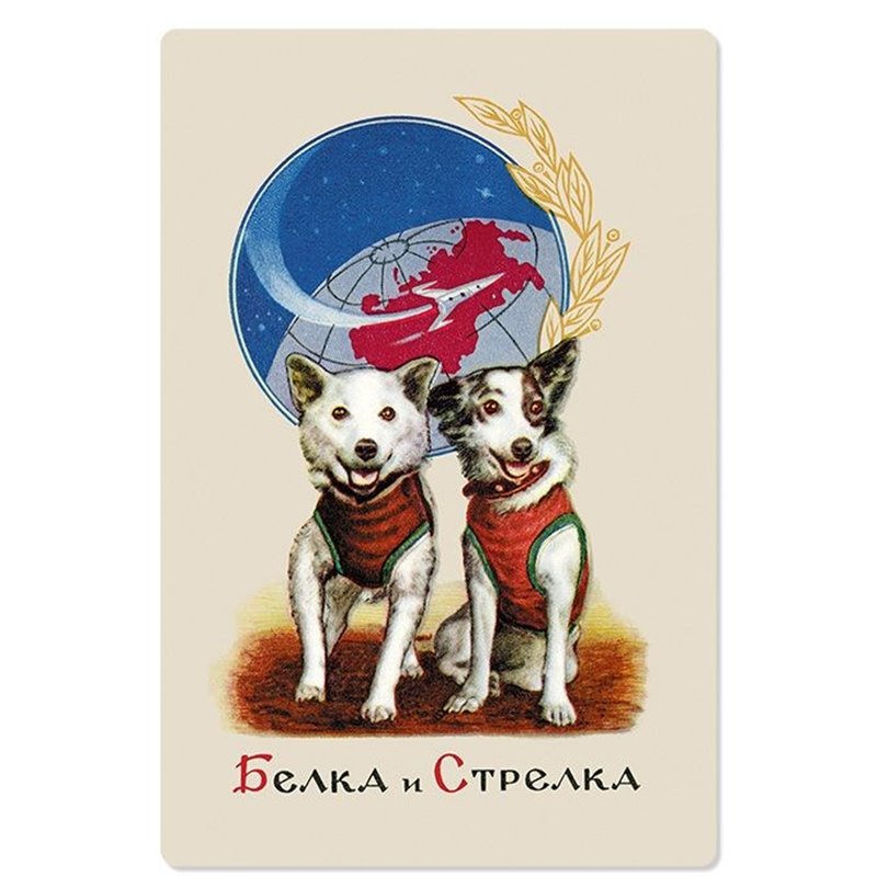 BELKA and STRELKA Russian SPACE DOG Cosmos Repro Russian Unposted Postcard