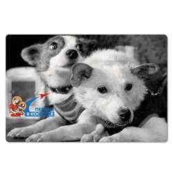 BELKA & STRELKA Space Dog COSMOS Rocket Gift Edition New Unposted Postcard