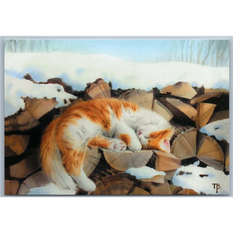 SLEEPING CAT on woodpile Cord of wood Peasant March Snow Russian New Postcard