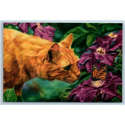 RED CAT and BUTTERFLY in Flower Garden Hello Summer Time New Postcard
