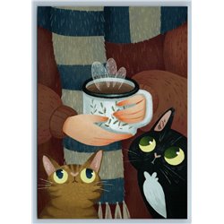 COZY COFFEE with CATS Funny Unusual Art by Kreshchuk New Postcard