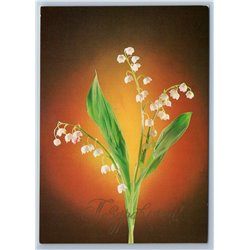 1983 LILIES OF THE VALLEY Real Photo CONGRATULARION Soviet USSR Postcard