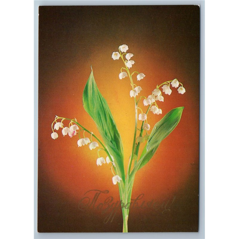 1983 LILIES OF THE VALLEY Real Photo CONGRATULARION Soviet USSR Postcard