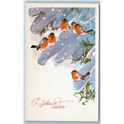 1978 BULLFINCHES Bird Snow Winter Forest HAPPY NEW YEAR Soviet USSR Postcard