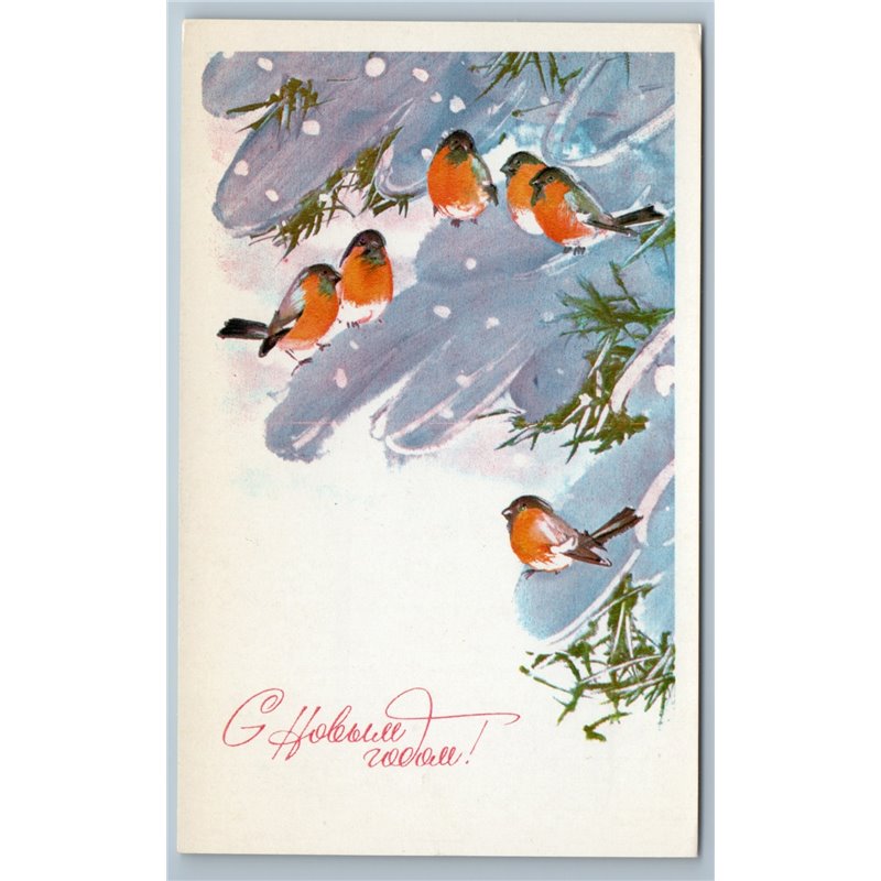 1978 BULLFINCHES Bird Snow Winter Forest HAPPY NEW YEAR Soviet USSR Postcard