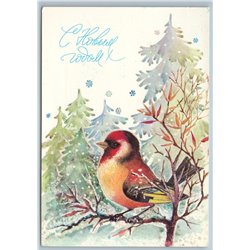 1982 GOLDFINCH Bird in Snow Winter Forest Happy New Year Soviet USSR Postcard