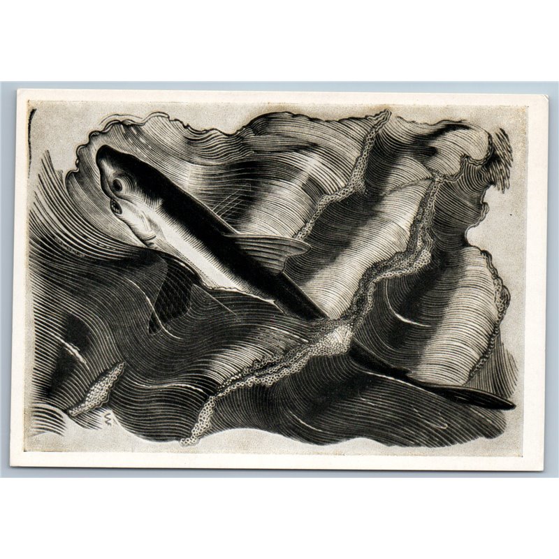 1961 SHARK SEA Fish in Waves UNUSUAL Woodcut illustration Soviet USSR Postcard