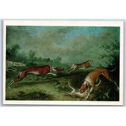 1979 HUNT DOGS CHASE HARE Sighthounds Hound Breed Red Fawn Forest USSR Postcard