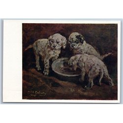 1961 THREE WHITE PUPPETS feeding dogs Cute animals Pets Soviet USSR Postcard