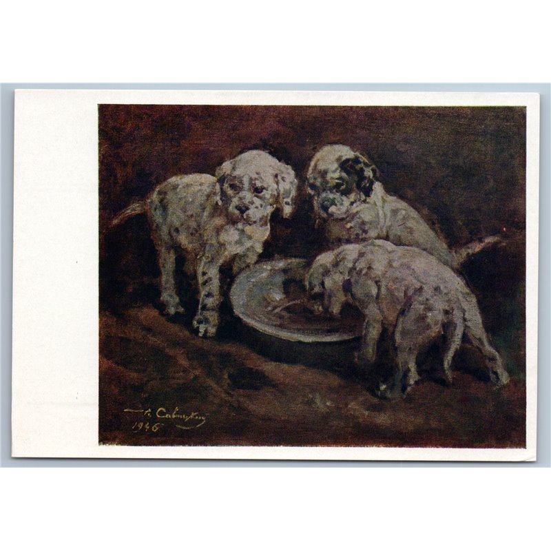 1961 THREE WHITE PUPPETS feeding dogs Cute animals Pets Soviet USSR Postcard