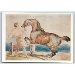 1971 HORSE TRAINING Brown horse Man Animals Soviet USSR Postcard