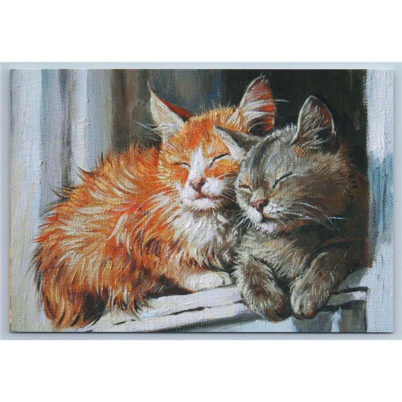 RED n GRAY CATS basking in sun Wooden windowsill So cute Russian New Postcard
