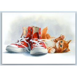 RED GINGER CAT Kitten play with shoe laces Sneakers Cute Russian New Postcard