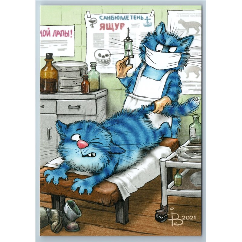 BLUE CATS Vaccination Humor Medicine Hospital Injection Needle New Postcard