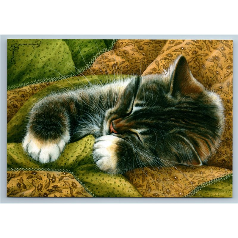 GRAY STRIPPED CAT sleeps under blanket Coziness Russian New Postcard
