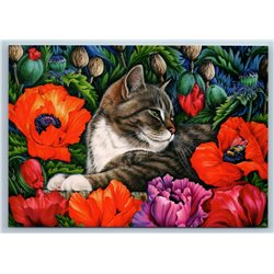 CUTE CAT in Scarlet Poppies Garden Flowers Russian New Postcard
