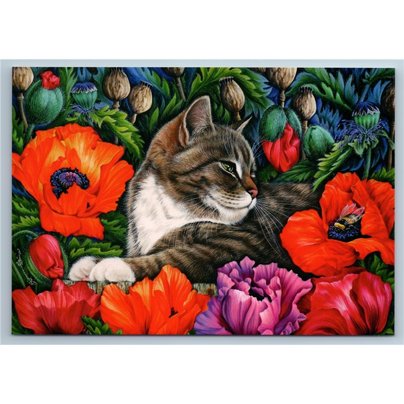 CUTE CAT in Scarlet Poppies Garden Flowers Russian New Postcard
