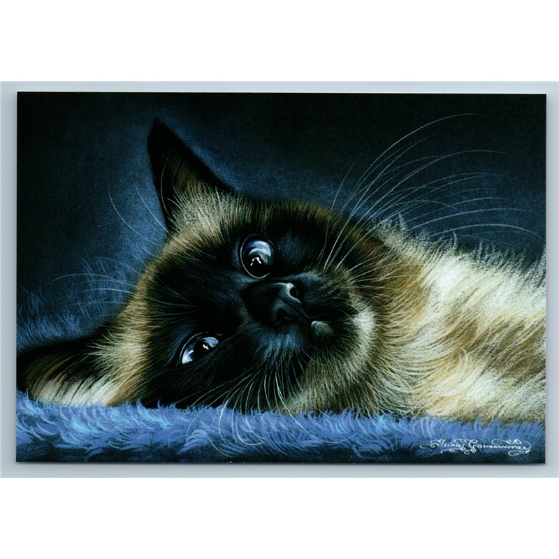 BEAUTIFUL THAI CAT Siamese with blue eyes by Garmashova New Unposted Postcard