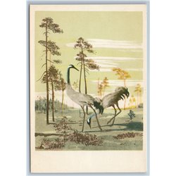 1958 COUPLE CRANES Birds in FOREST MEADOW Wood tree view Landscape USSR Postcard