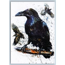 BLACK RAVENS in Tree Brench Unusual Graphic ART Russian New Postcard