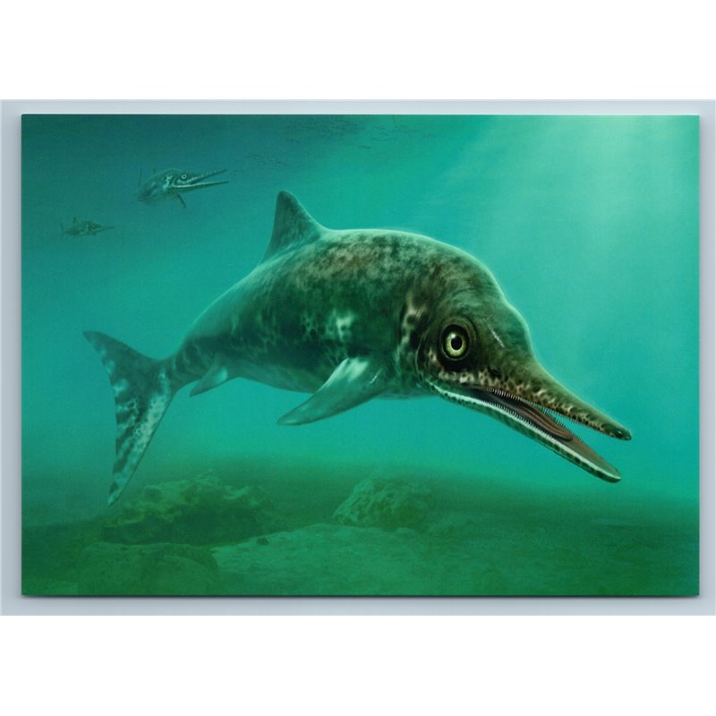 STENOPTERYGIUS DINOSAUR Prehistoric animal Fish Underwater Russian New Postcard
