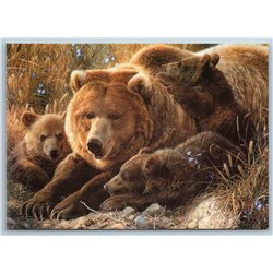 RUSSIAN BROWN BEAR family Cub Field Wild Animal New Postcard