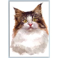 NORWEGIAN FOREST CAT Watercolor Art Pet Russian New Postcard