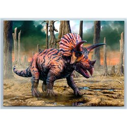 TRICERATOPS DINOSAUR Prehistoric Animal  CRETACEOUS ERA Russian New Postcard