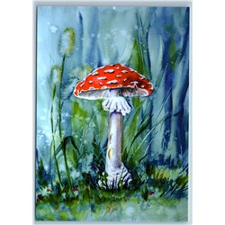RED FLY AGARIC Poison mushroom in the FOREST Art Russian New Postcard