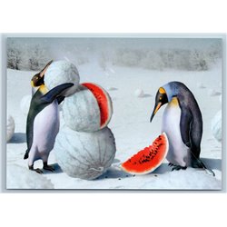 PENGUINS and WATERMELONS Antarctica Far North Unusual Fantasy Art New Postcard