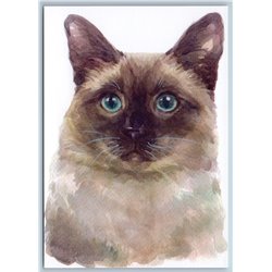 SIAMESE THAI CAT with Blue Eyes Watercolor Art Pet Russian New Postcard