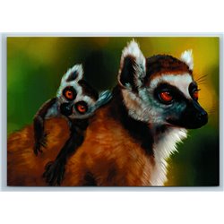RING-TAILED LEMUR with Cub Family Wild Animal Russian New Postcard