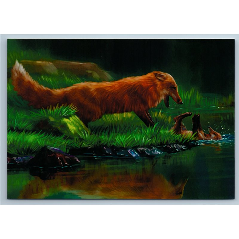 RED FOXES play with CUB in Water Funny Animal Russian New Postcard