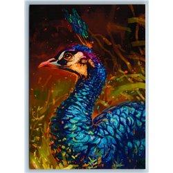 BLUE PEACOCK Bird Abstract Unusual Art Russian New Postcard
