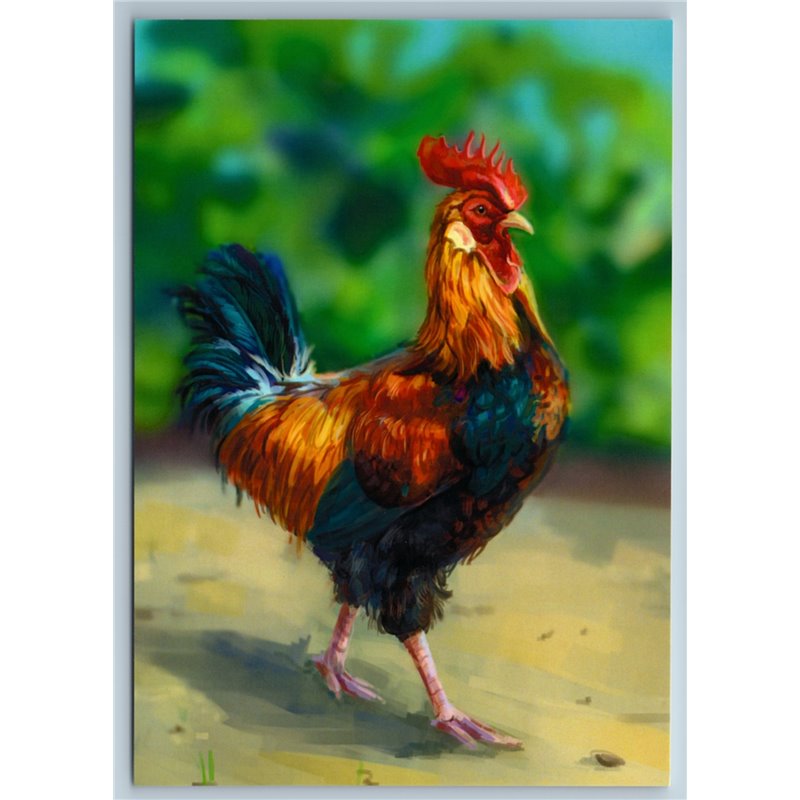 VERY SERIOUS COCK Rooster Farm Bird Russian New Postcard