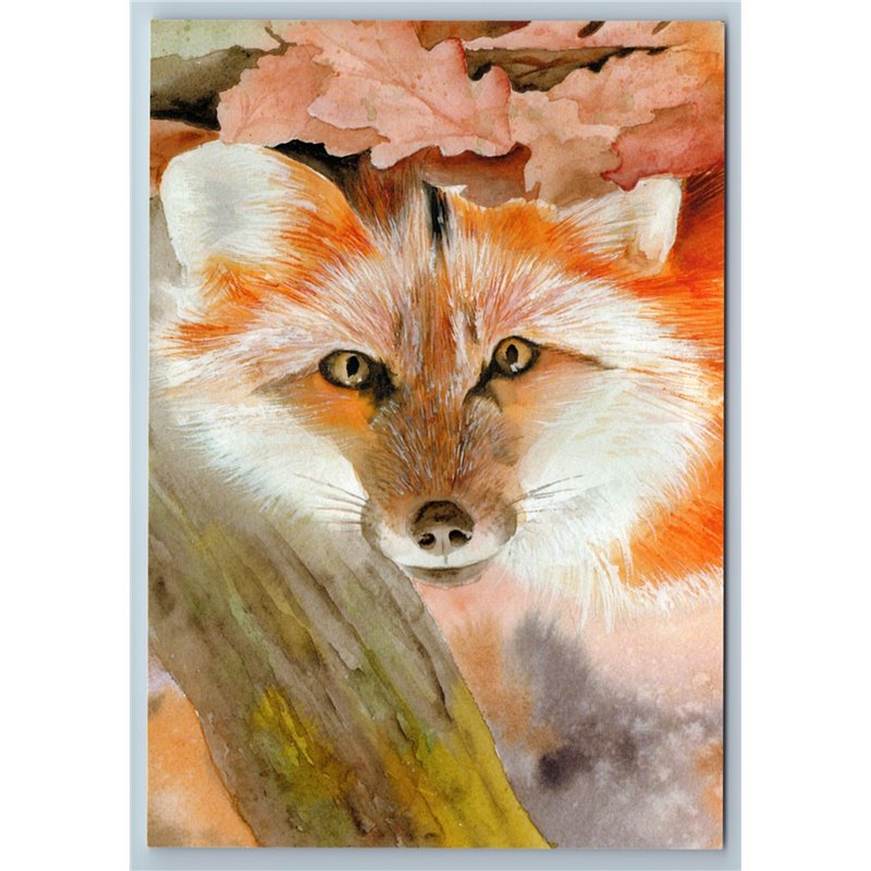 RED FOXE in Autumn Scene Forest Wild Animal Russian New Postcard